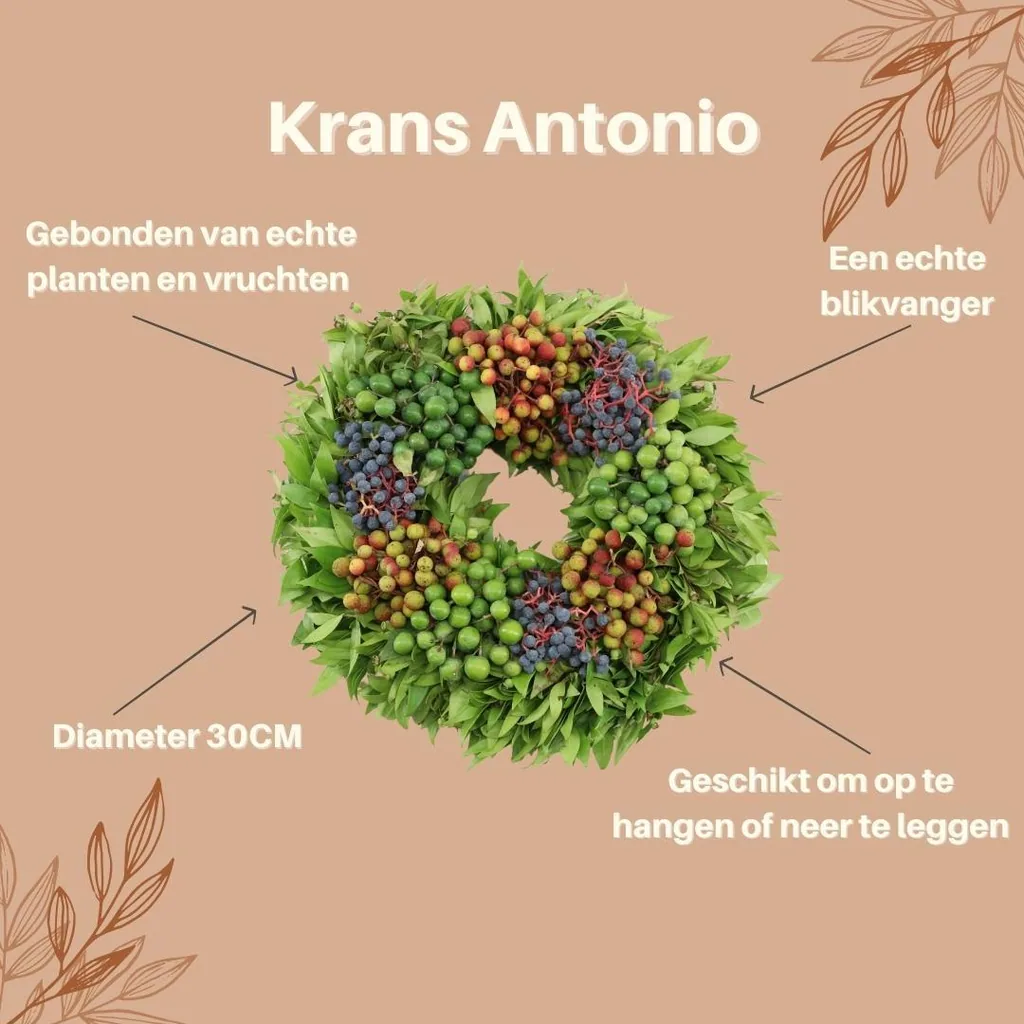 Echter Kranz Antonio | Ø 30 cm