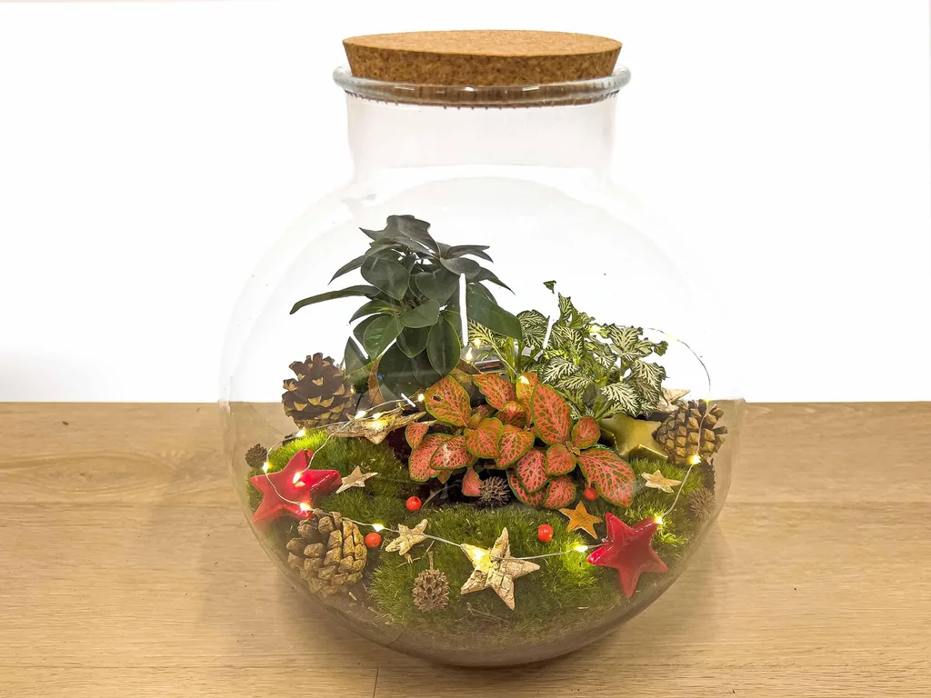 Bolder Bob Bonsai Weihnachten - DIY - Höhe ca. 30 cm