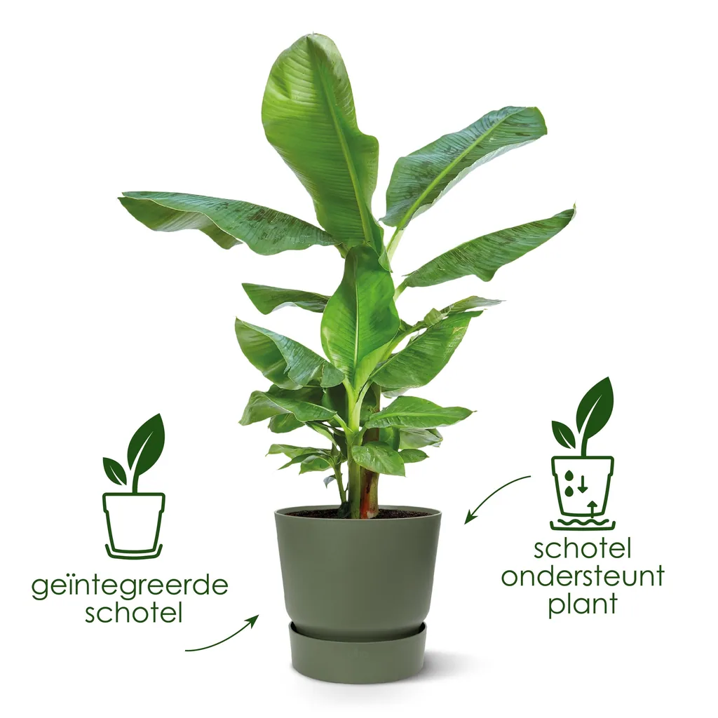 Topf elho Greenville Rund Grün - D39 x H37
