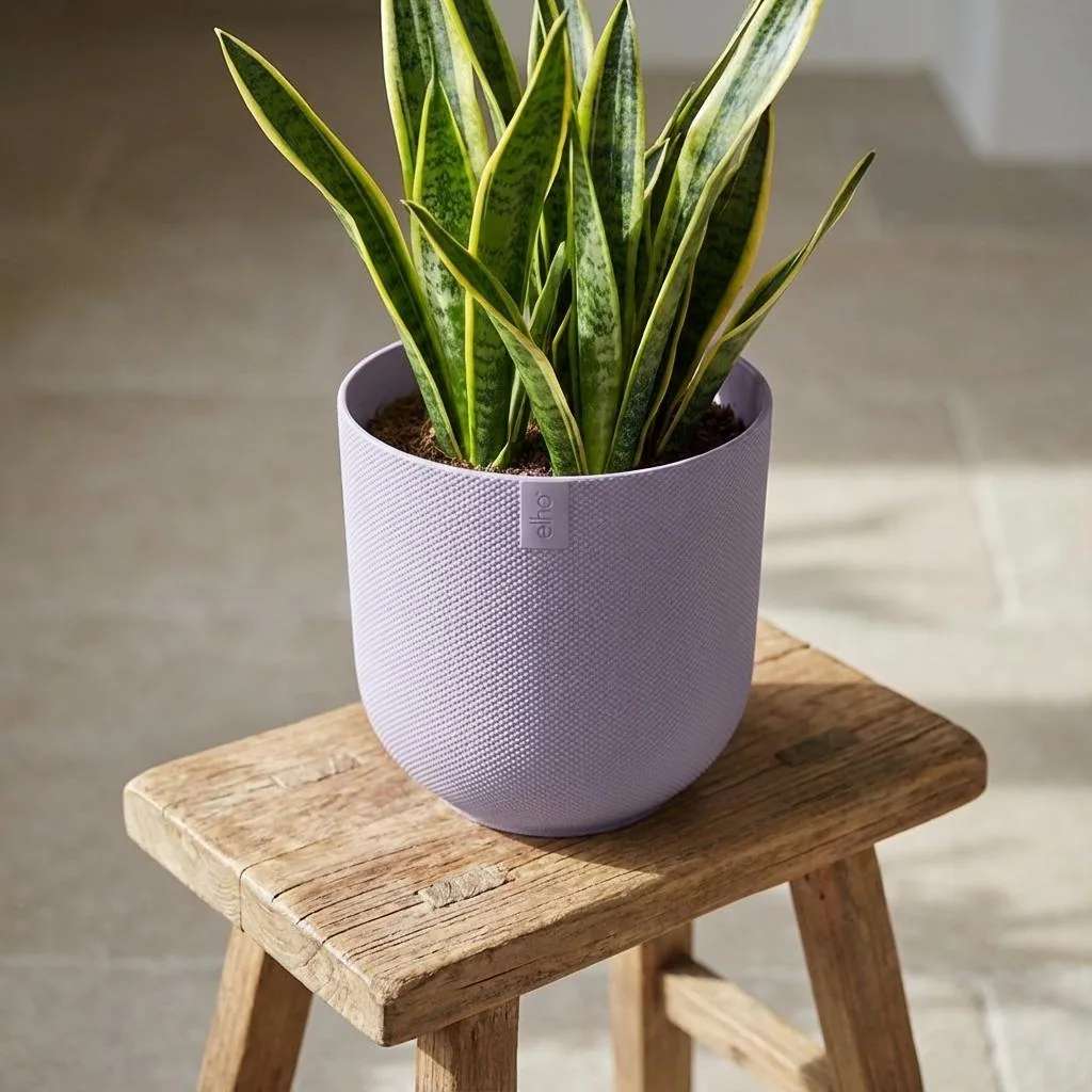 Topf Elho Jazz Round Lavender Lilac - D23cm - H21cm - D19
