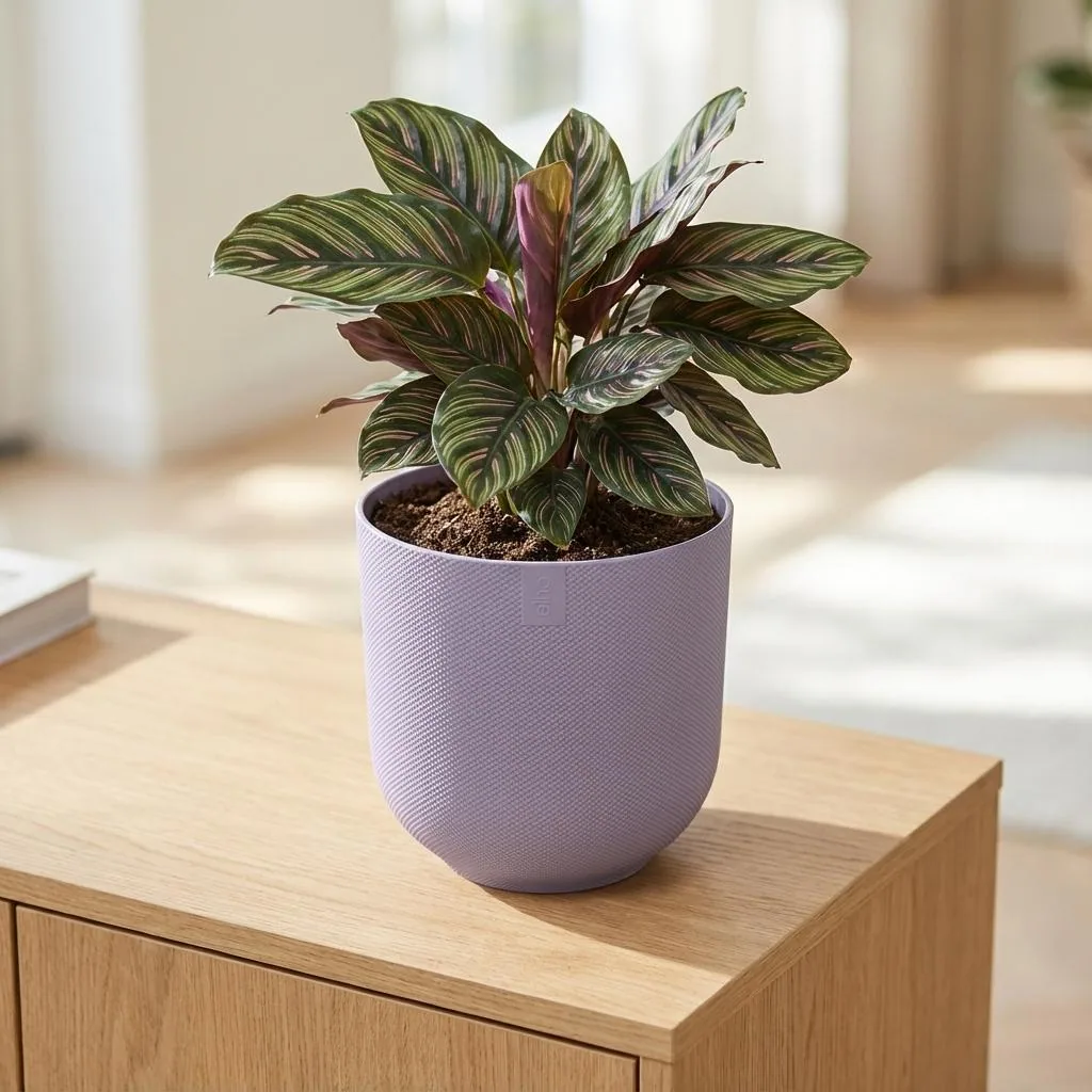Topf Elho Jazz Round Lavendel Flieder - D23cm - H21cm - D23