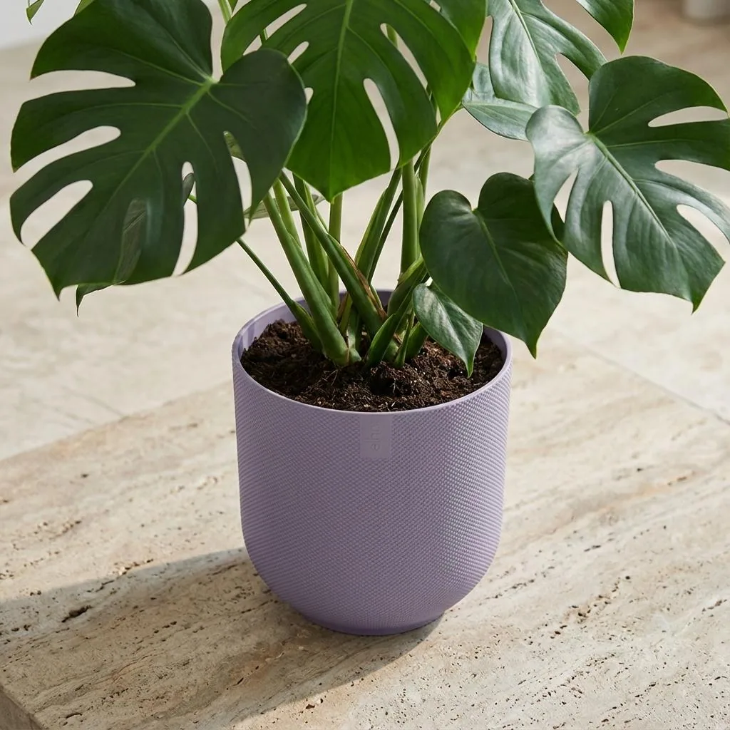 Topf Elho Jazz Round Lavendel Flieder - D23cm - H21cm - D23