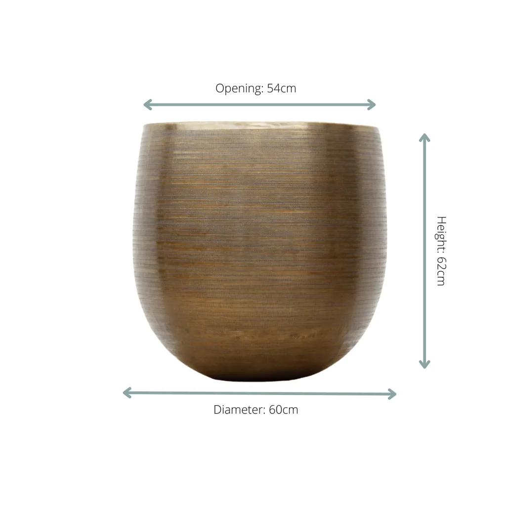 Rowen Gold - 60 x 62 cm