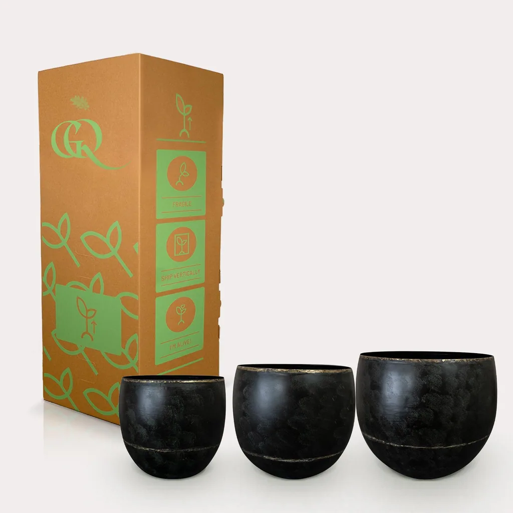 Topf - Schwarz - Belia vintage black - Set von 3