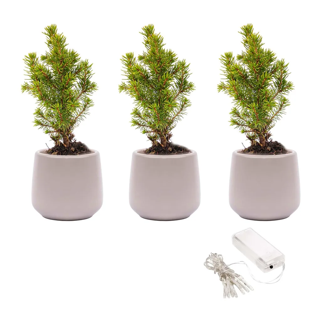 Mini Weihnachtsbaum Set 3 - Inklusive 3x Topf Joey grau + 20 led lights