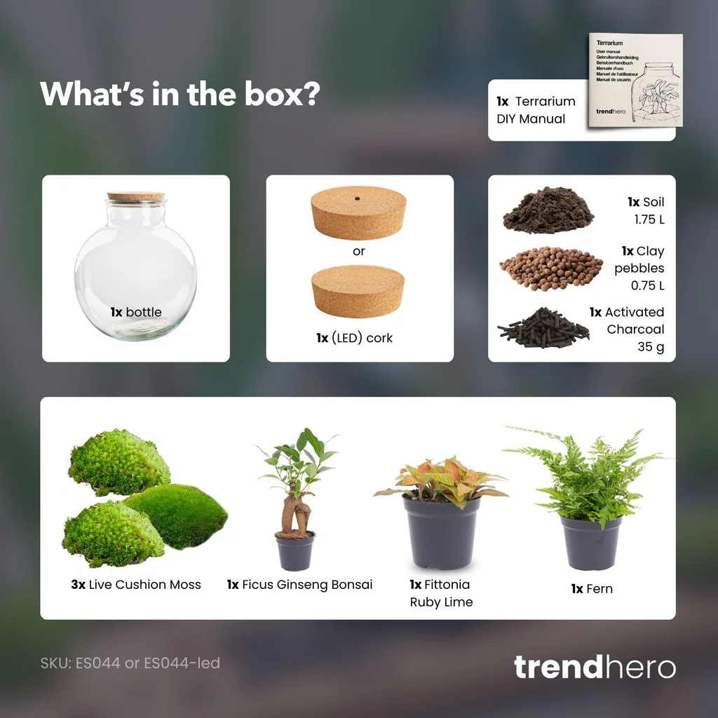 DIY Pflanzen-Terrarium mit Licht - Bolder Bob Bonsai - Ø 31 cm Höhe ca. 30 cm