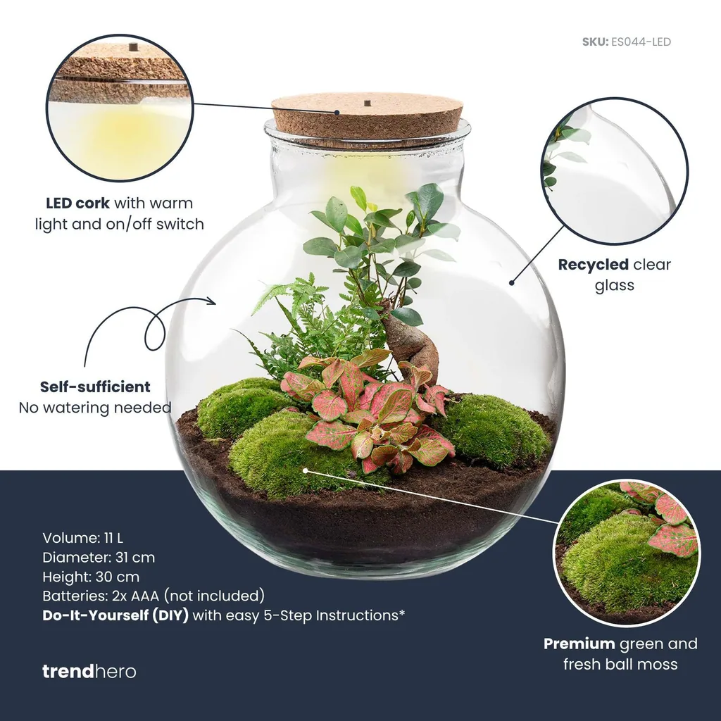DIY Pflanzen-Terrarium mit Licht - Bolder Bob Bonsai - Ø 31 cm Höhe ca. 30 cm