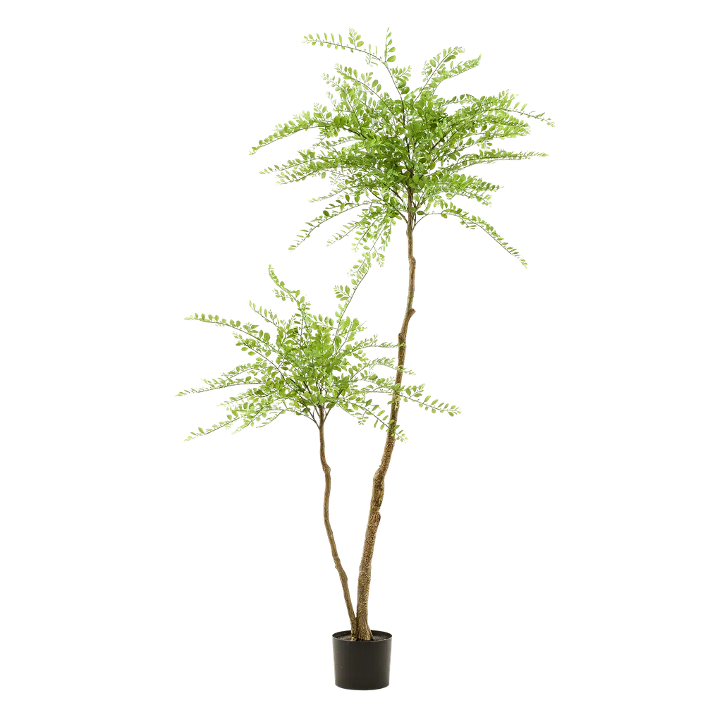 Kunstpflanze - Sophora Baum - Honigbaum - 190cm