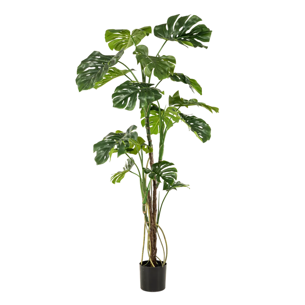 Kunstpflanze - Monstera - Fensterblatt - 180cm
