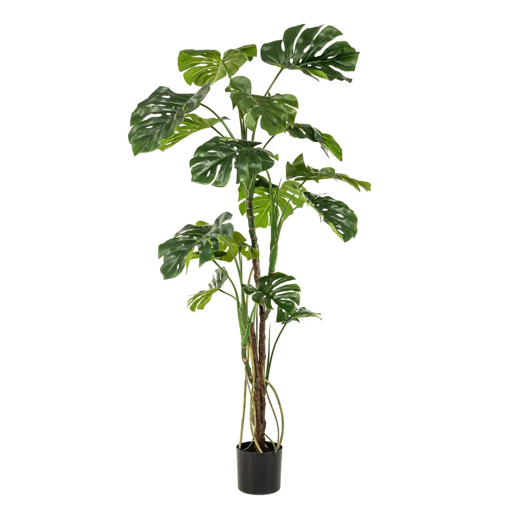 Kunstpflanze - Monstera - Fensterblatt - 180cm