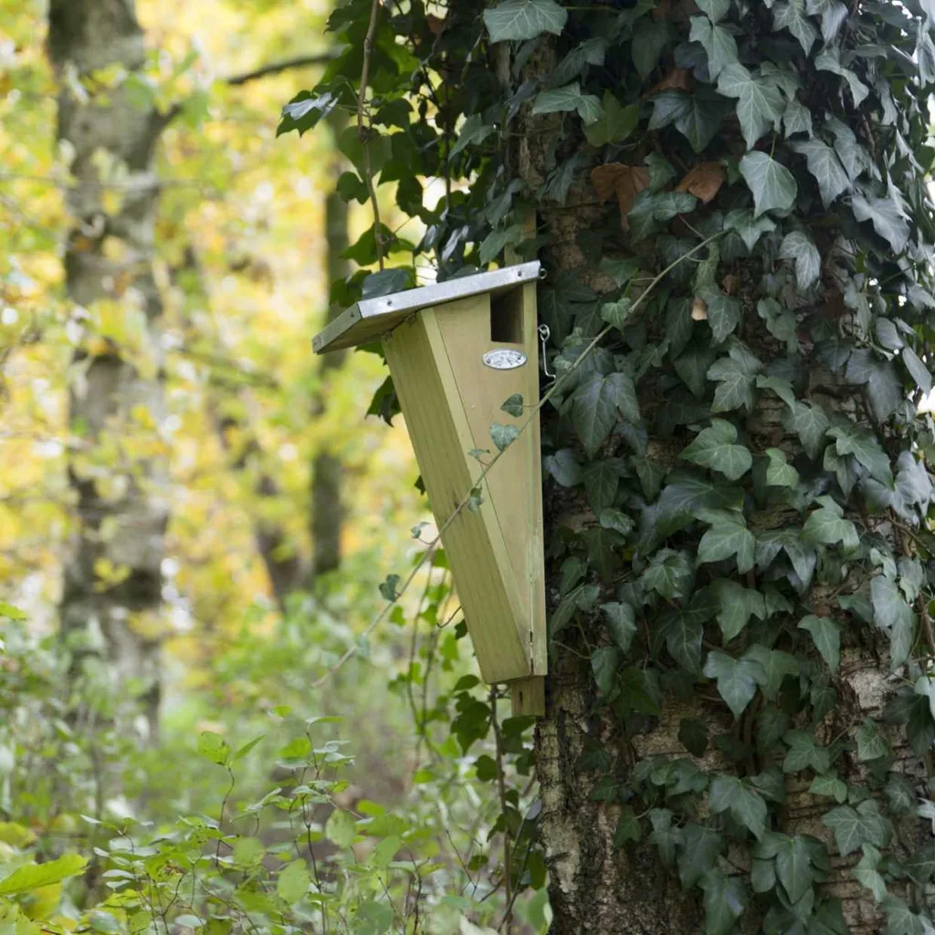 Vogelhaus Baumläufer - Nistkasten - Gartentiere