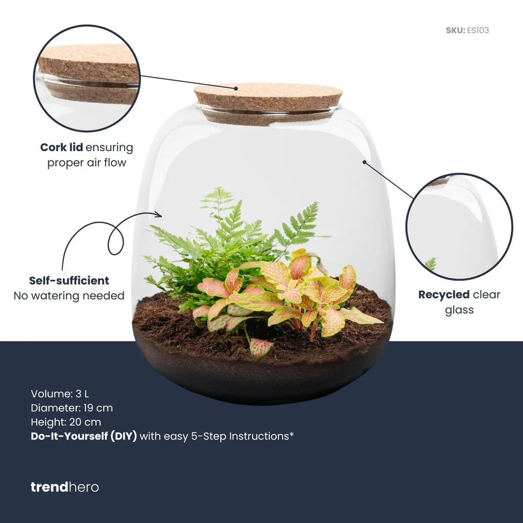 Pflanzen Terrarium - Emma Mini - DIY kit - Höhe ca. 20 cm - Ø 19 cm - Fittona Ruby Lime
