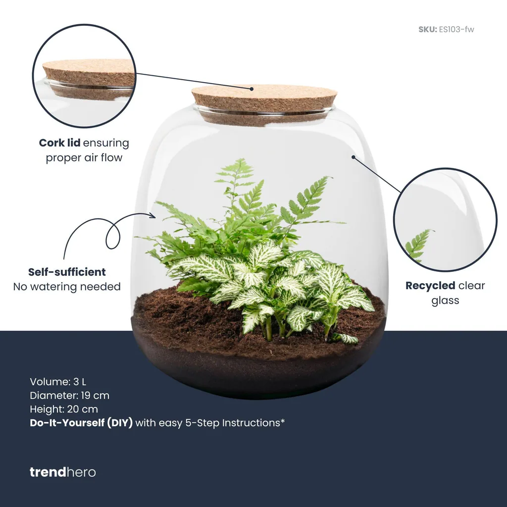 Pflanzen Terrarium - Emma Mini - DIY Set - Höhe ca. 20 cm - Ø 19 cm - Fittonia White Tiger