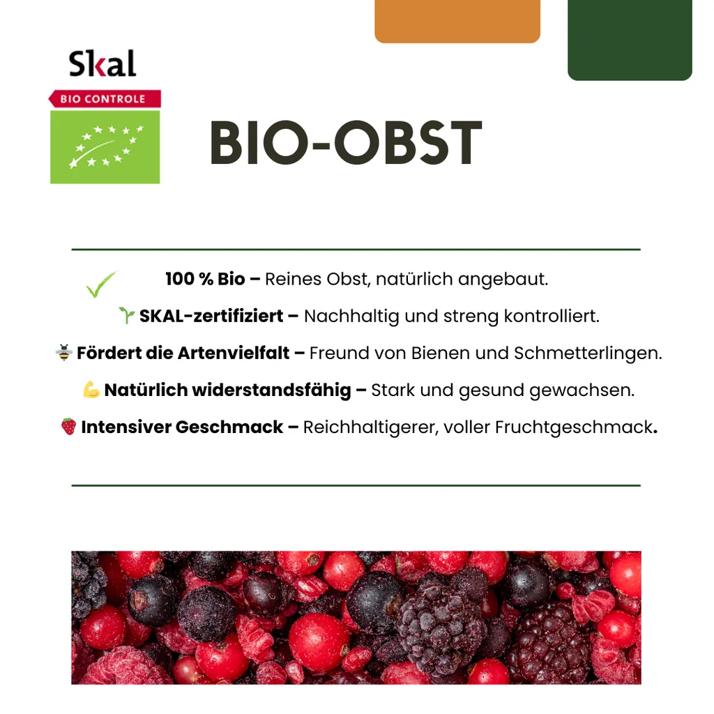 Weinrebe 6er-Set (Vitis vinifera) – winterharte Kletterpflanze, Topf-Ø 13 cm, Höhe ca. 20 cm