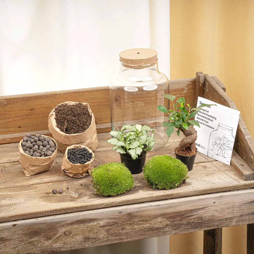 DIY Pflanzen Terrarium mit Licht - Little Milky Bonsai - Ø 17 cm Höhe ca. 25 cm