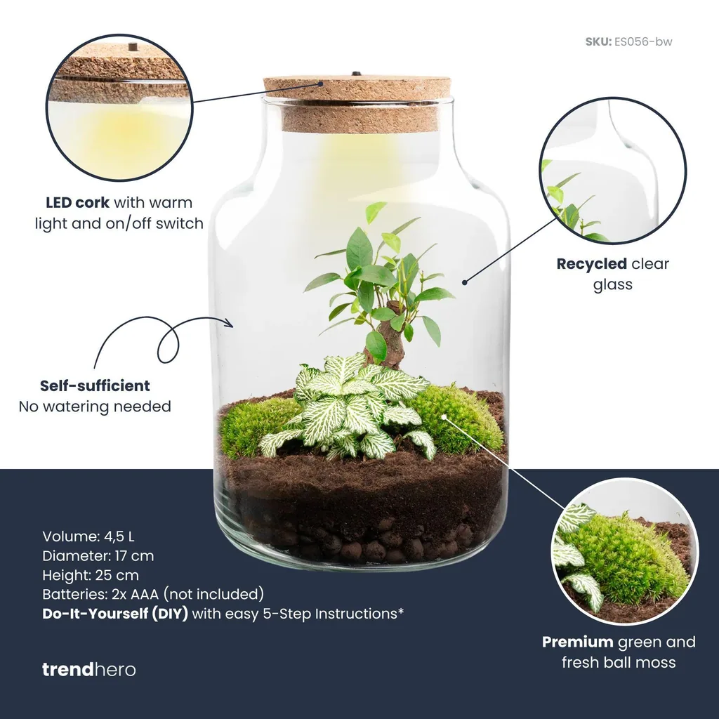 DIY Pflanzen Terrarium mit Licht - Little Milky Bonsai - Ø 17 cm Höhe ca. 25 cm