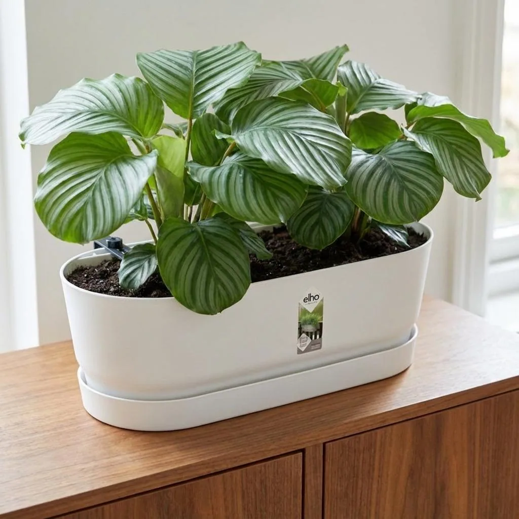 Elho Pot Greenville Easy Balcony D25cm - Weiß