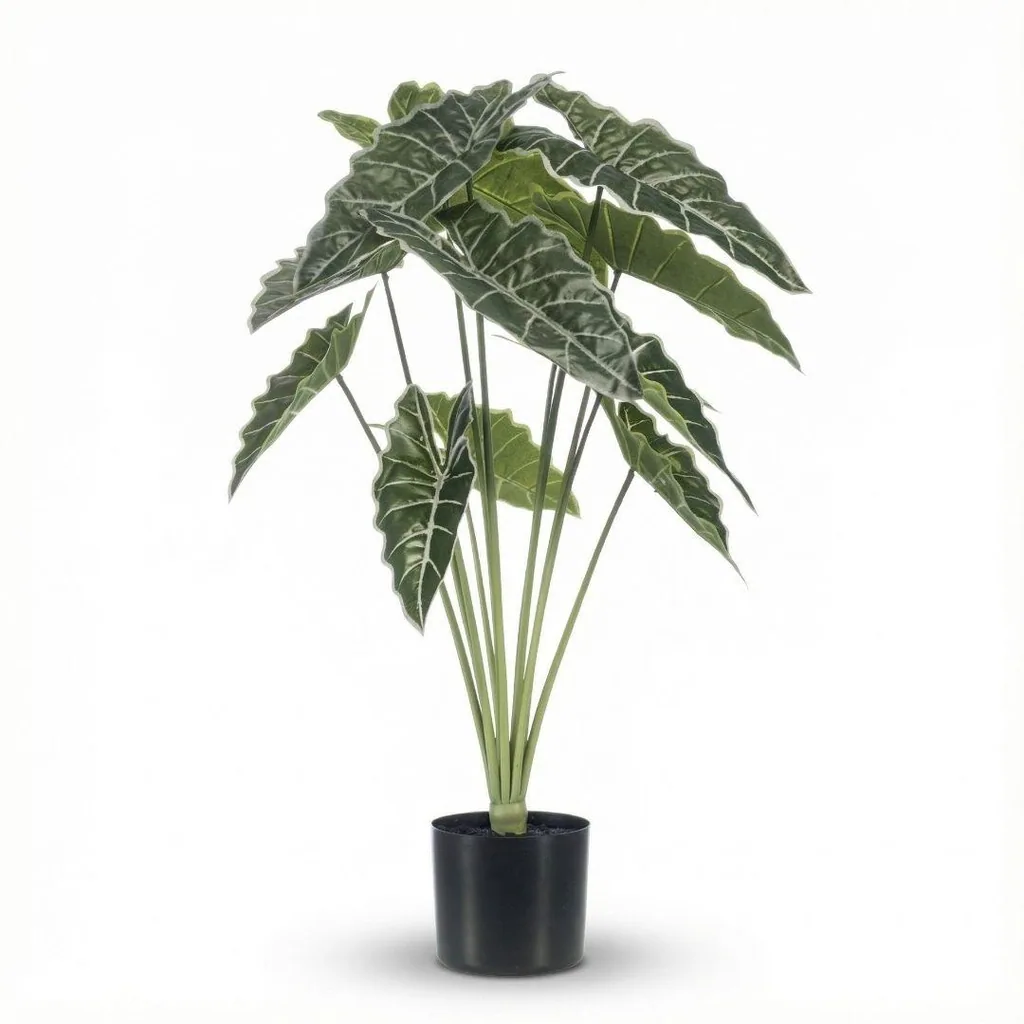 Alocasia 80cm - Kunstpflanze - Artificial plant