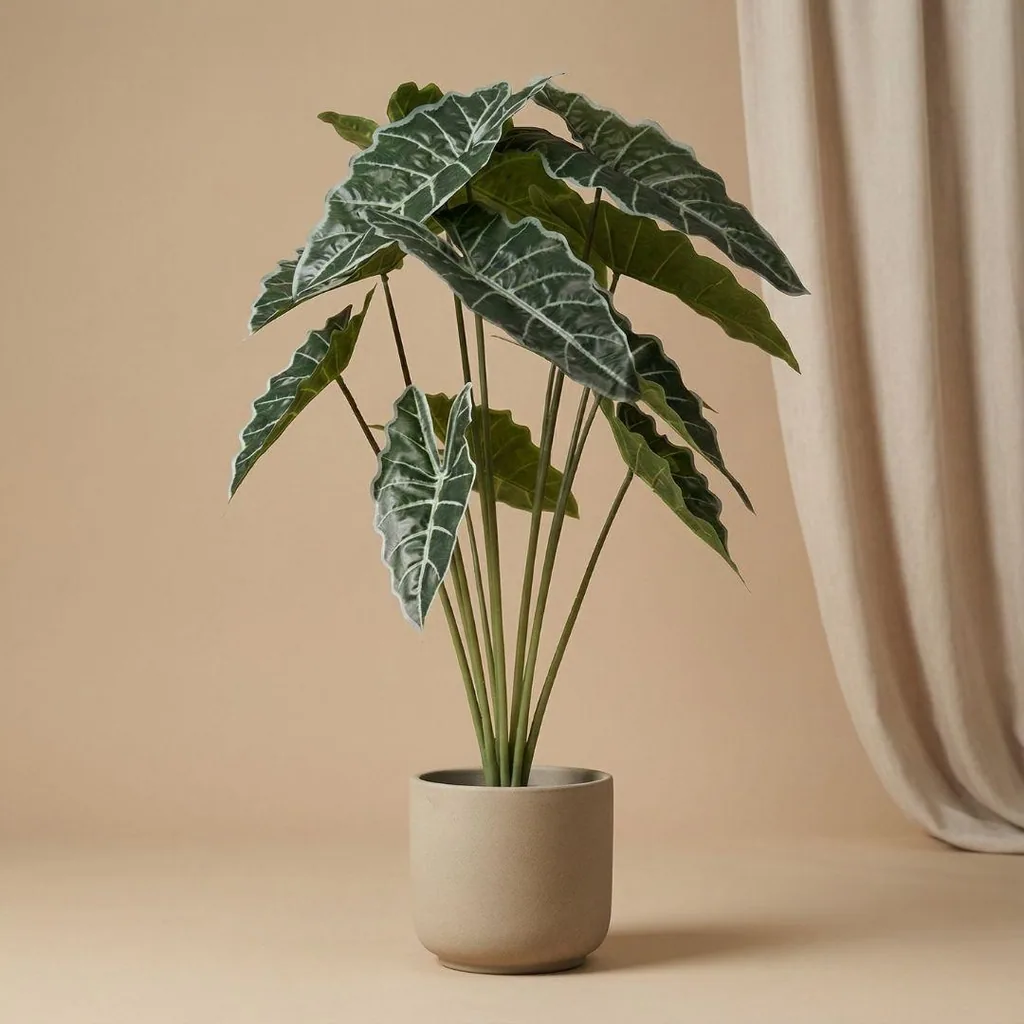 Alocasia 80cm - Kunstpflanze - Artificial plant