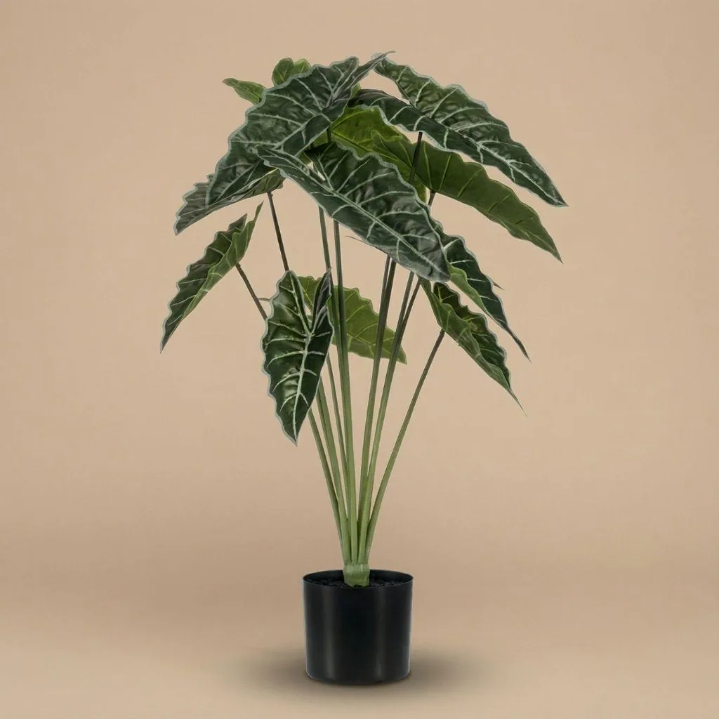 Alocasia 80cm - Kunstpflanze - Artificial plant