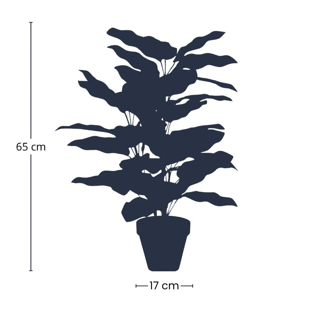 Calathea im Topf - 65 cm hoch - Kunstpflanze - KÜNSTLICH