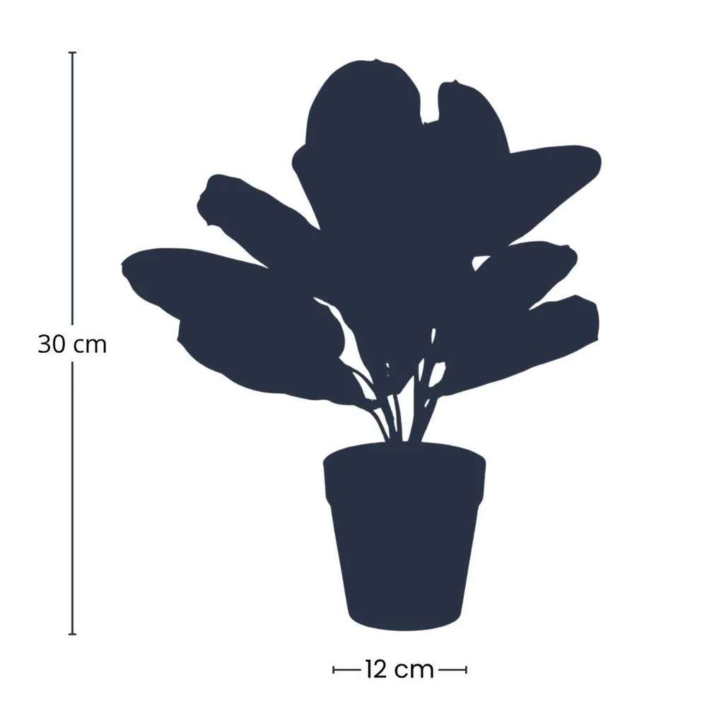 Maranta grün - 30cm - In schwarzem Topf - Kunstpflanze - ARTIFICIAL