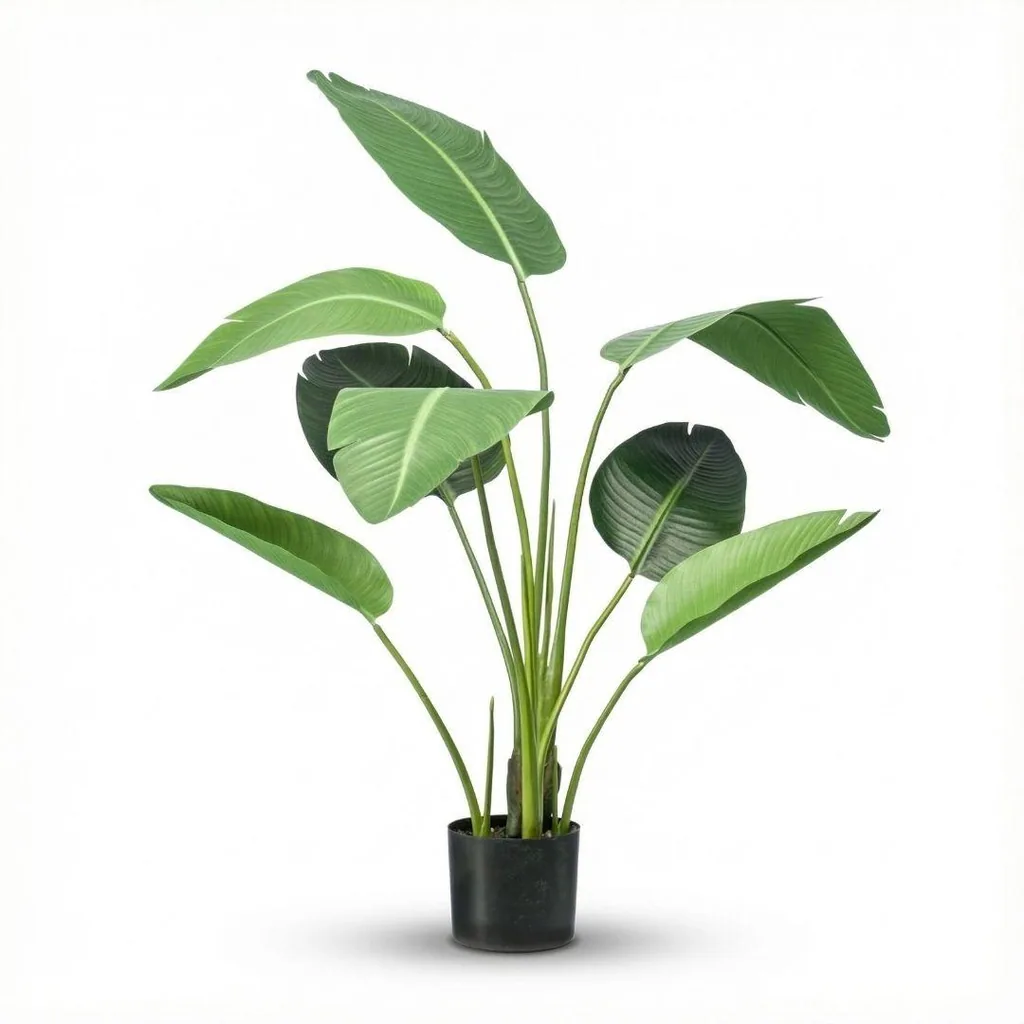 Strelitzia - 120cm - In schwarzem Topf - Kunstpflanze - Künstliche Pflanze