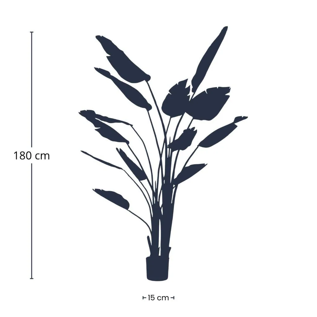 Strelitzia nicolai - 180 cm - Im schwarzen Topf - Kunstpflanze - KÜNSTLICH