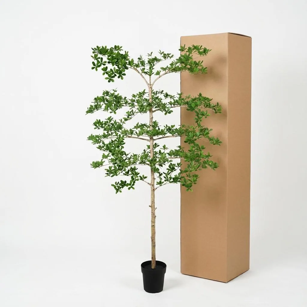 Künstlicher Bucida - 200 cm