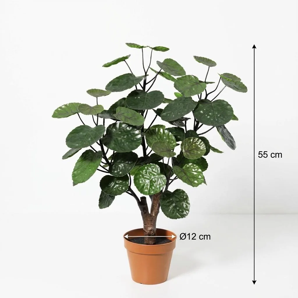Künstlicher Polyscias Fabian - 55cm