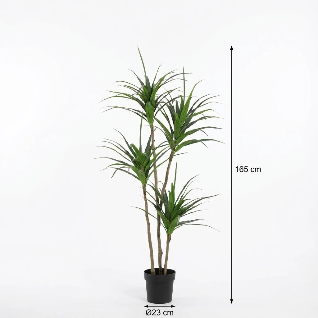 Künstliche Dracaena - 165cm