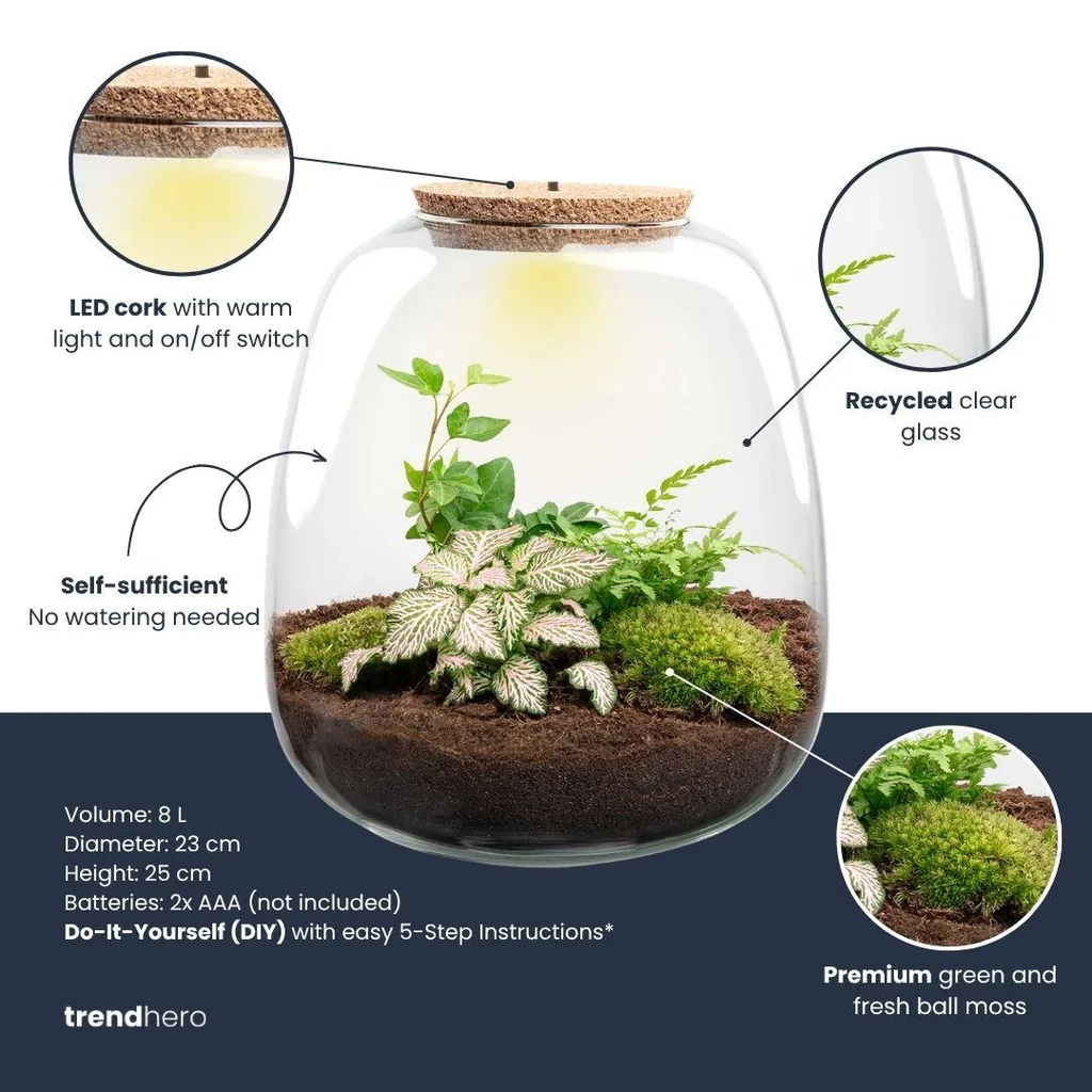 Pflanzen Terrarium - Emma - DIY kit - Höhe ca. 25 cm - Ø 23 cm - Hedera White