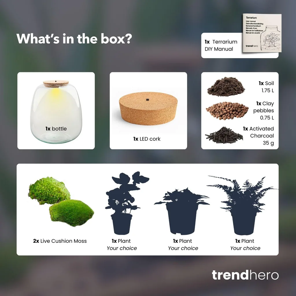 Pflanzen Terrarium - Emma - DIY kit - Höhe ca. 25 cm - Ø 23 cm - Hedera White