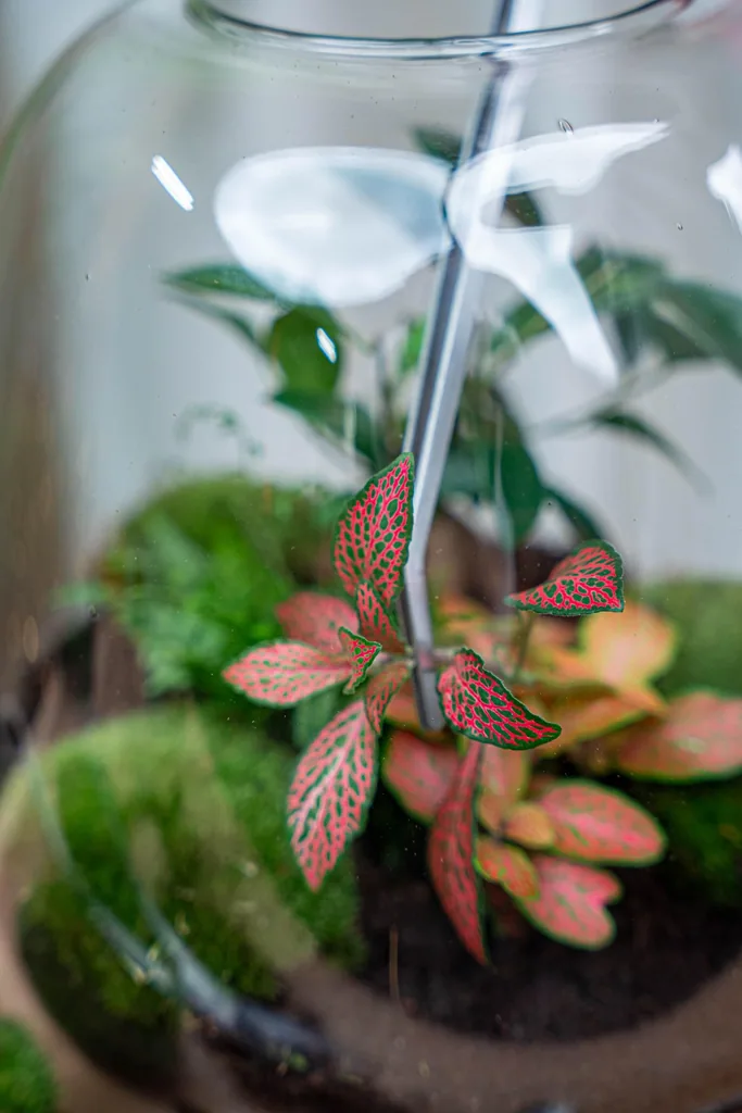Terrarium Pinzette - Metall - 26 cm lang