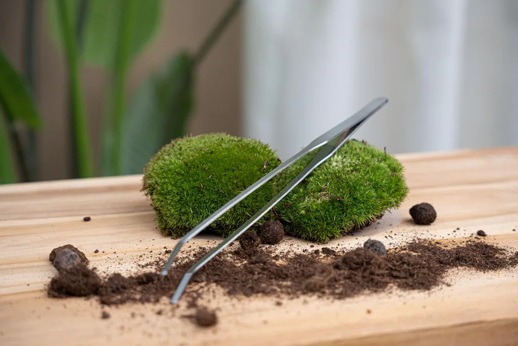 Terrarium Pinzette - Metall - 26 cm lang