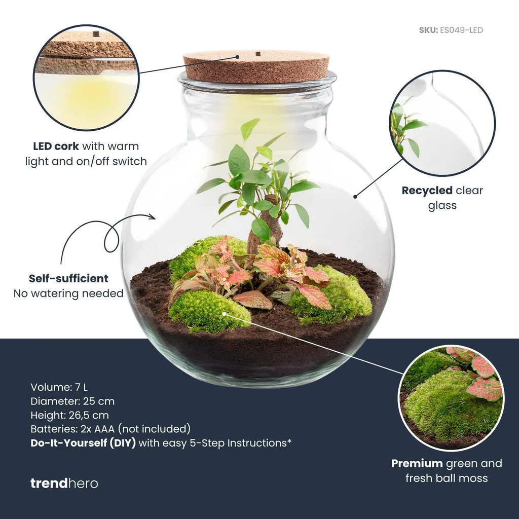 Flaschengarten - Teddy bonsai - Höhe ca. 26,5 cm - Met LED-kurk