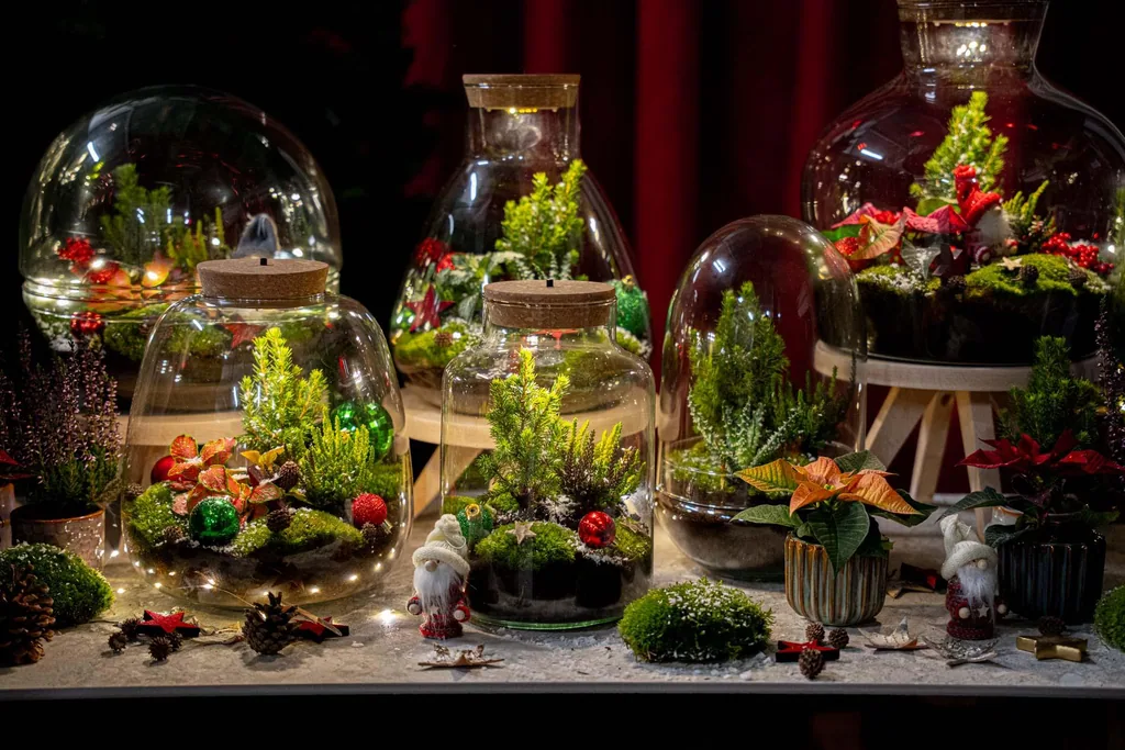 Frosty Weihnachten Terrarium - Pflanzen Terrarium DIY kit Christmas - - Ø 17 cm Höhe ca. 25 cm