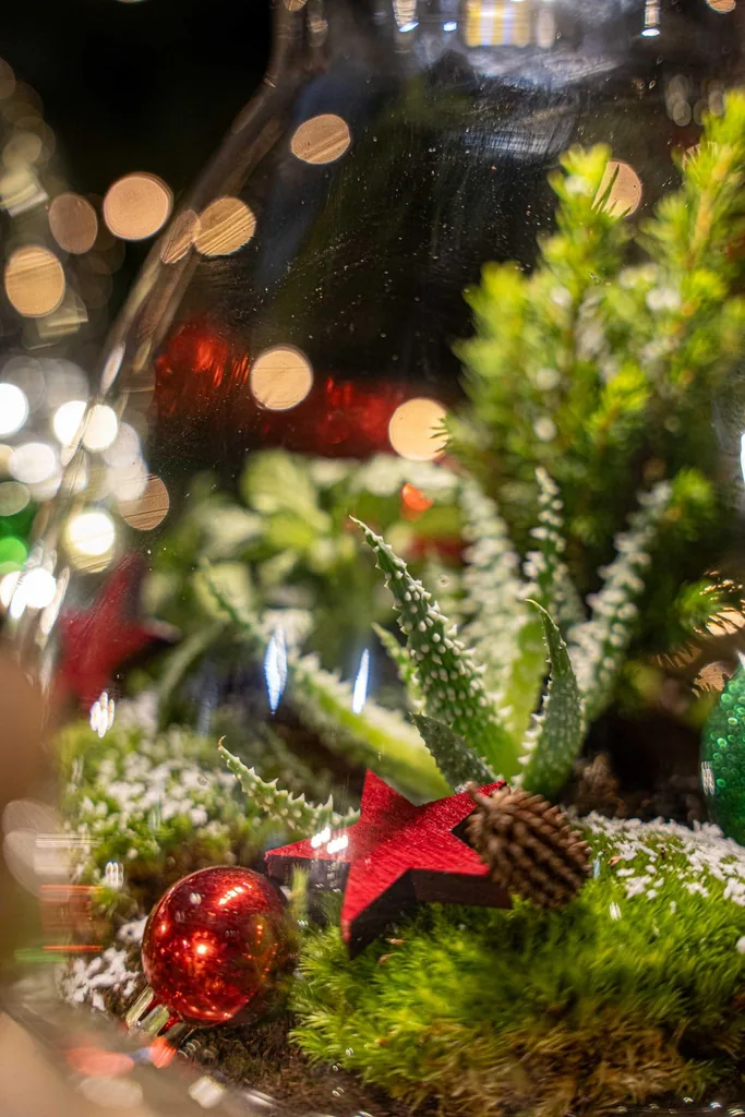 Frosty Weihnachten Terrarium - Pflanzen Terrarium DIY kit Christmas - - Ø 17 cm Höhe ca. 25 cm
