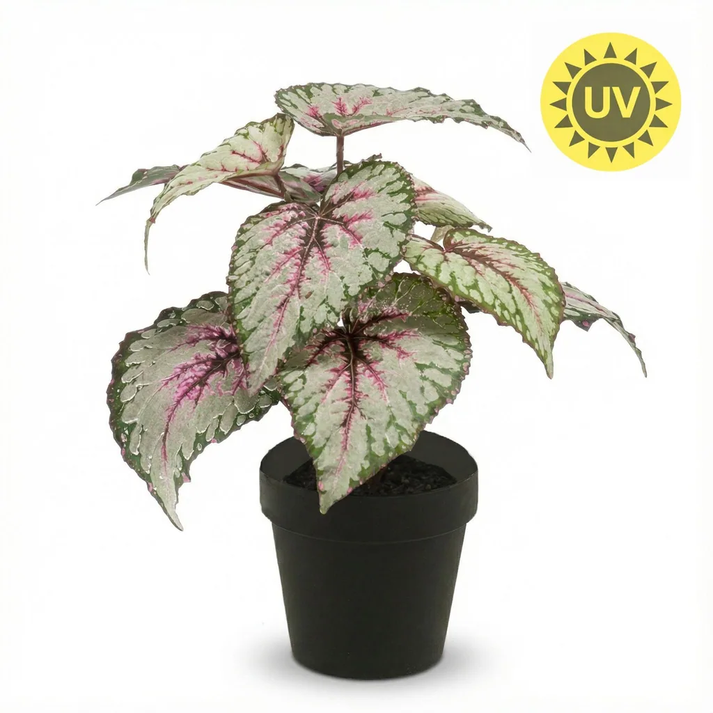 Begonia - 26 cm im Topf - Kunstpflanze - Künstliche Pflanze - UV - Innen & Außen