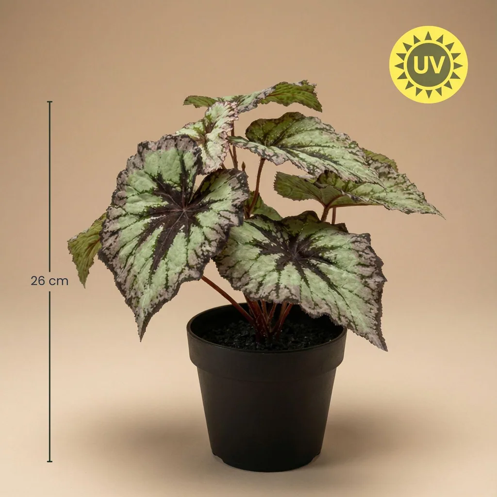 Begonia 26 cm - Kunstpflanze im Topf – UV - Künstliche Pflanze
