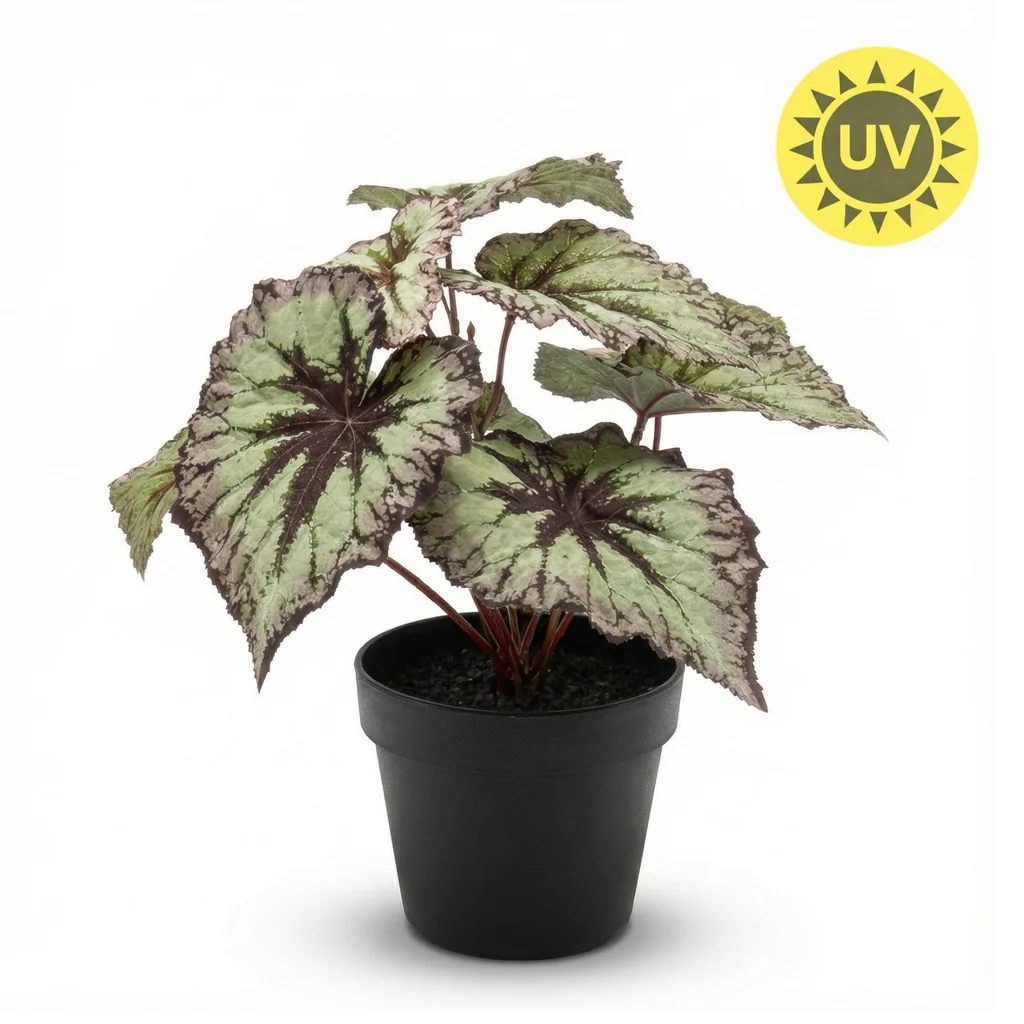 Begonia 26 cm - Kunstpflanze im Topf – UV - Künstliche Pflanze