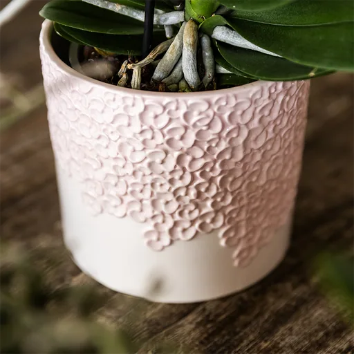 Kolibri Home | Bloom Ziertopf - Rosa - Topf-Ø 6 cm