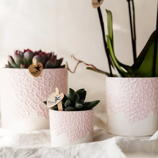 Kolibri Home | Bloom Ziertopf - Rosa - Topf-Ø 12 cm