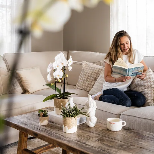 Kolibri Home | Bloom Ziertopf - Sand - Topf-Ø 6 cm