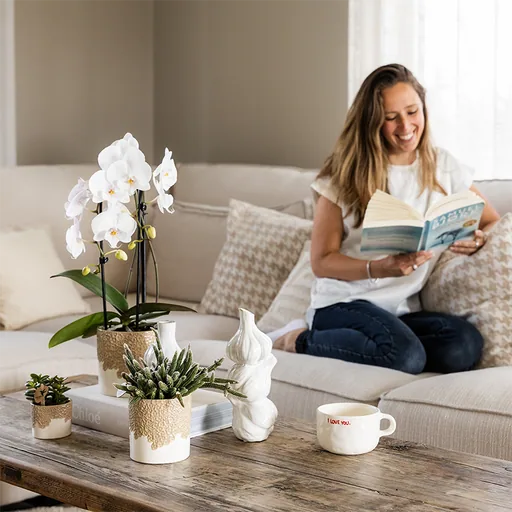 Kolibri Home | Bloom Ziertopf - Sand - Topf-Ø 6 cm