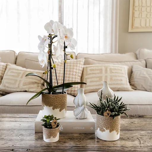 Kolibri Home | Bloom Ziertopf - Sand - Topf-Ø 6 cm