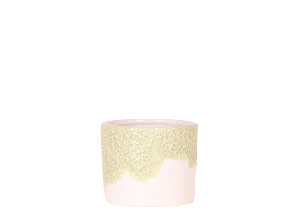 Kolibri Home | Bloom Ziertopf - Grün - Topf-Ø 6 cm