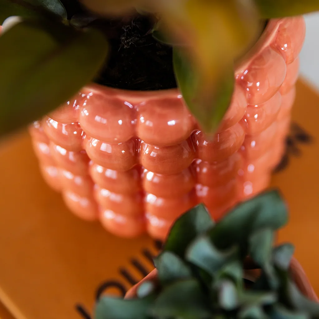 Kolibri Orchids | Orange Grosetto Orchidee mit orangefarbenem Poppy-Übertopf – Topfgröße Topf-Ø 9 cm – frisch vom Züchter