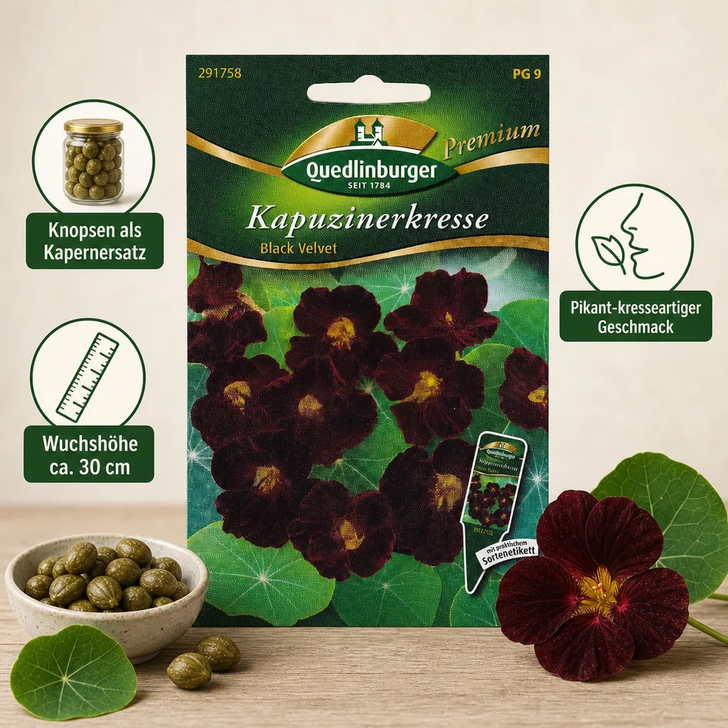 Kapuzinerkresse Black Velvet Samen