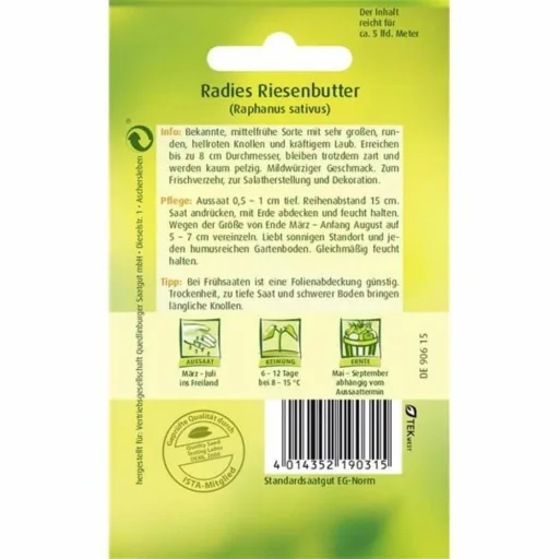 Radieschen säen, Riesenbutter, Saatgut, frische Radieschen